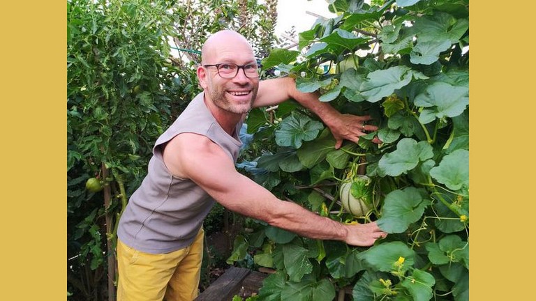 Le jardin potager de la terrasse de la crêperie Le jardin potager de la terrasse