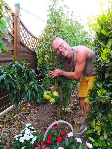 Le jardin  potager du restaurant 